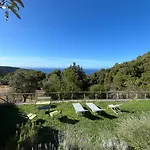 Tagliaferro