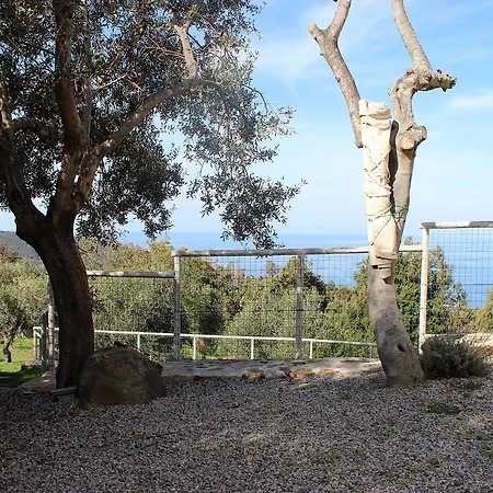 Tagliaferro דירה *