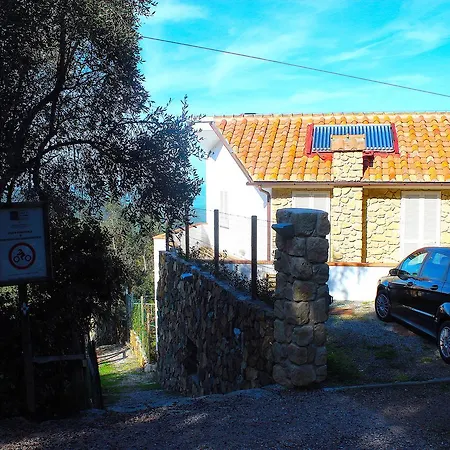 Tagliaferro